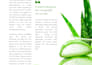 write a professional business plan with financial forecast